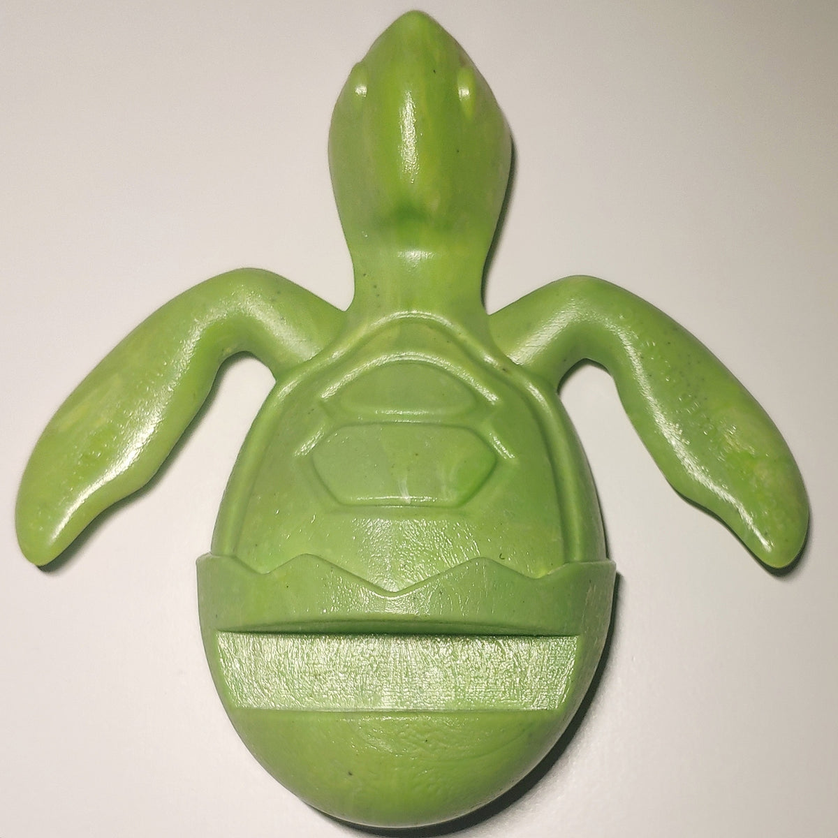 Sea Turtle Holder