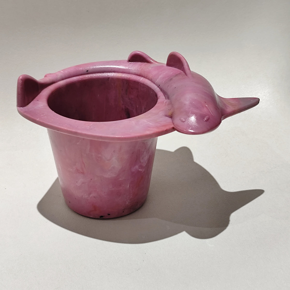 Shark Cup